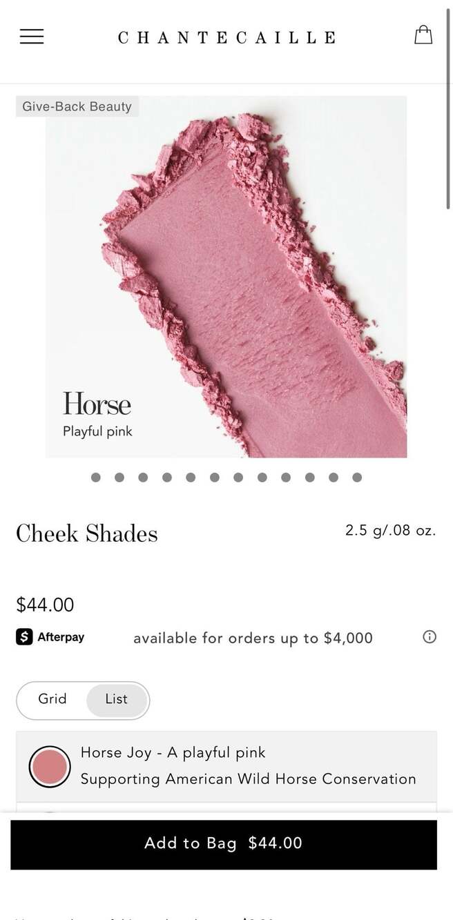 Chantecaille Philanthropy Cheek Shade in Joy (Wild Horse). NIB! - Picture 3 of 12